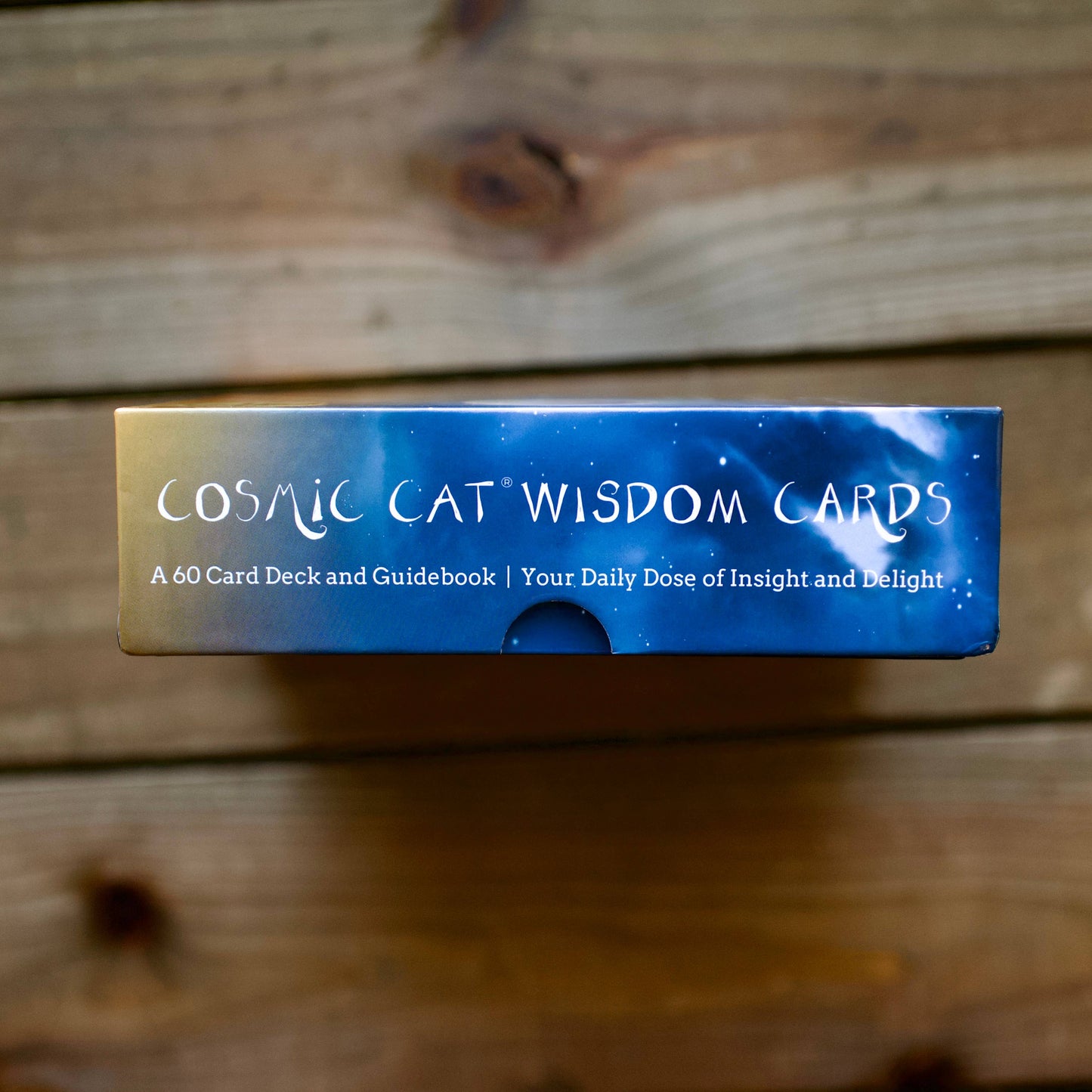 Cosmic Cat Wisdom Cards