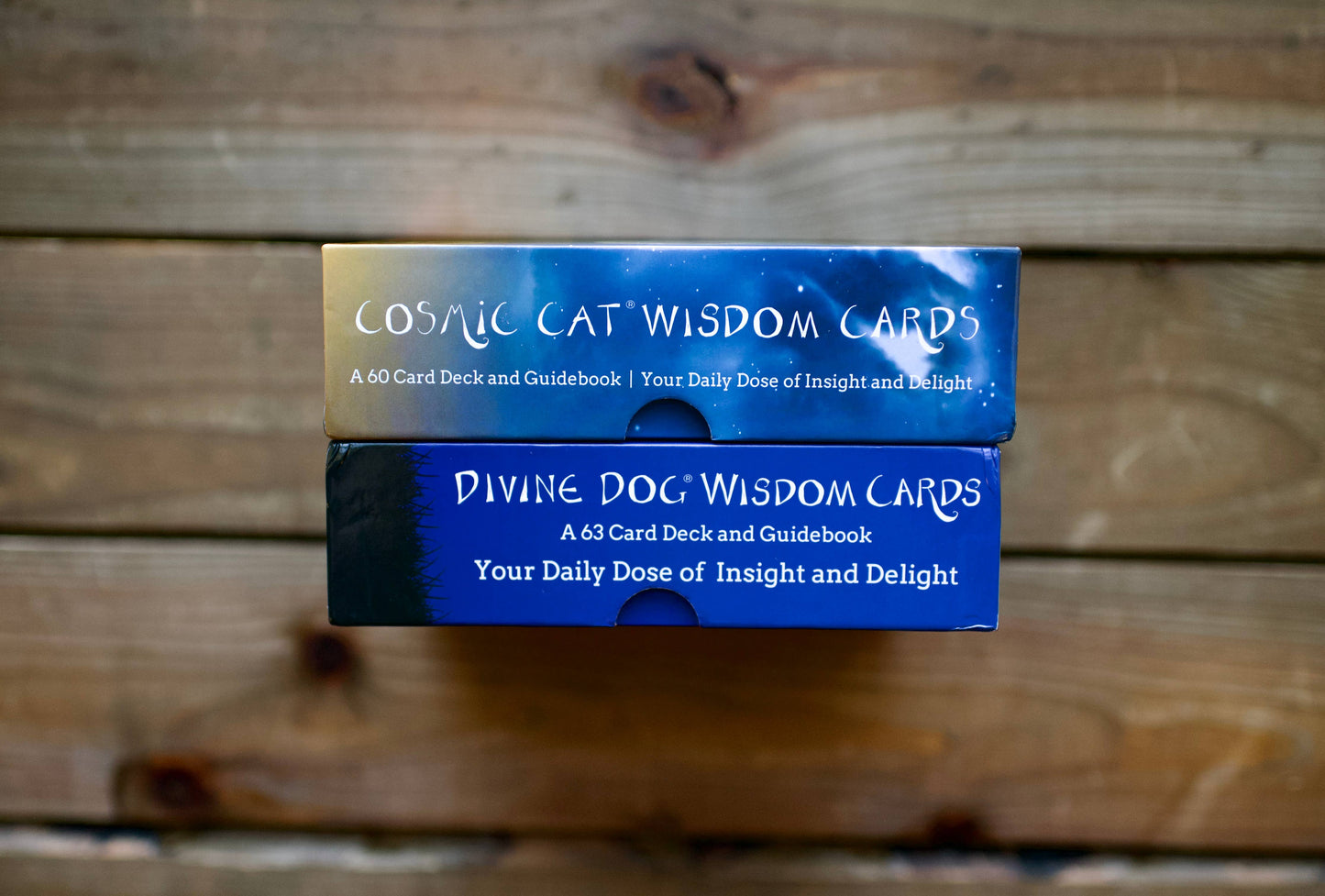 Cosmic Cat Wisdom Cards