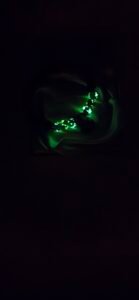 683f8647fae72e57618b2b3e_blue-lotus-accessories-blue-luminecent-beed-bracklet-glowing-picture-4-model-2000-139x300_1751524069909.jpg