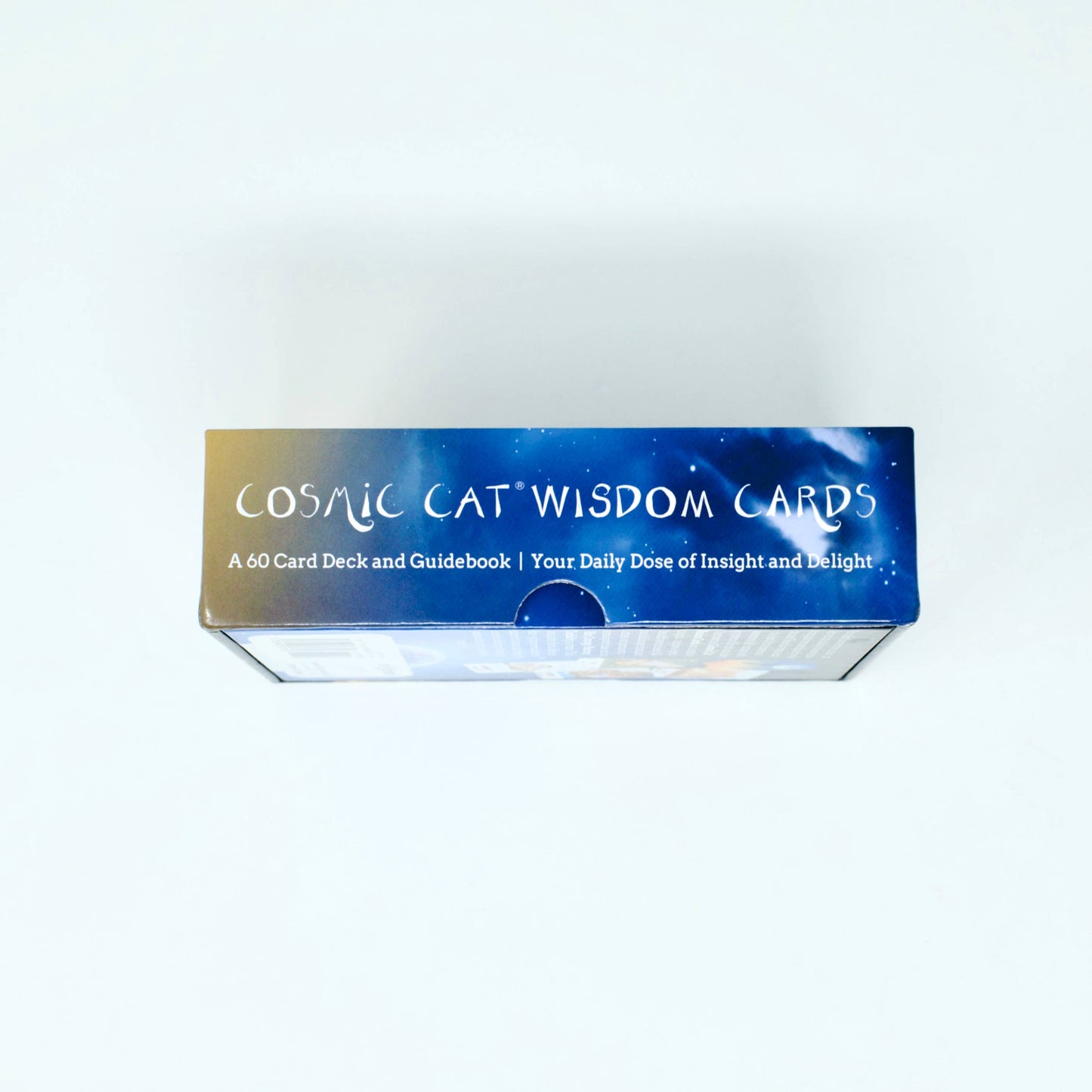 Cosmic Cat Wisdom Cards