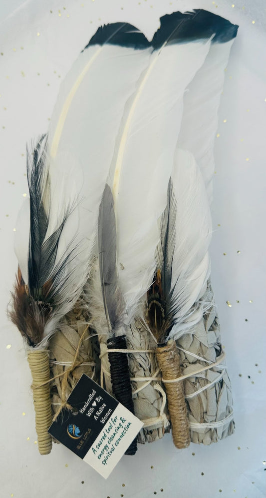 683f8647fae72e57618b2b3e_misc-smudging-feathers-1_1751525910333.jpeg