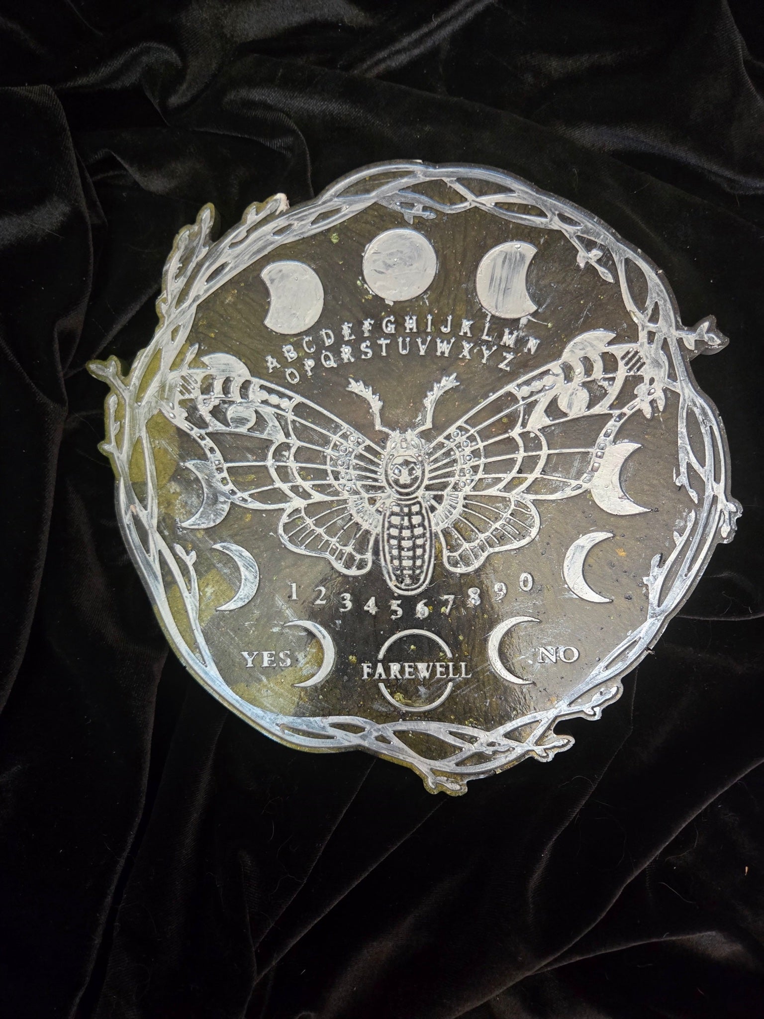 683f8647fae72e57618b2b3e_moth_1752162583302.jpg