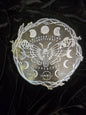 683f8647fae72e57618b2b3e_moth_1752162583302.jpg