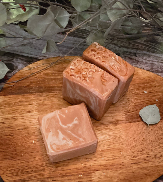 Honey Oatmeal Soap, Homemade Soap, Shea Butter Soap